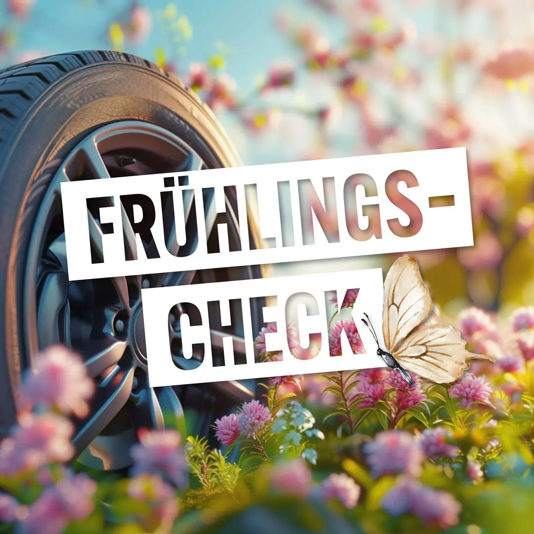 Frühlingscheck